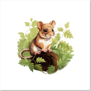 Dormouse Posters and Art